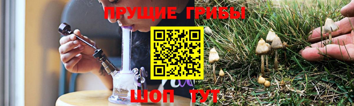 Галлюциногенные грибы ЛСД Краснокаменск